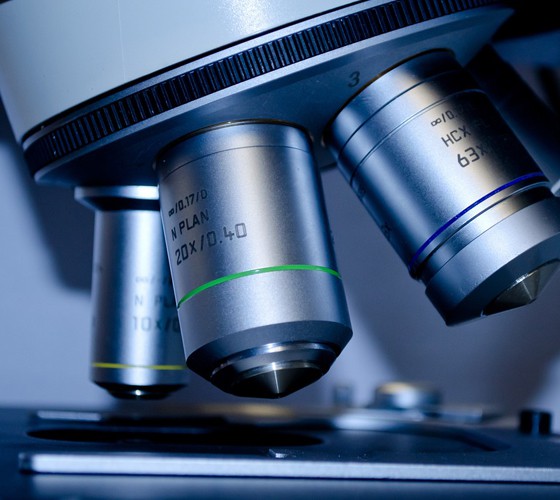 嫁接王永炎院士專家工作站、張世臣專家團隊中藥傳統炮制技藝傳承..